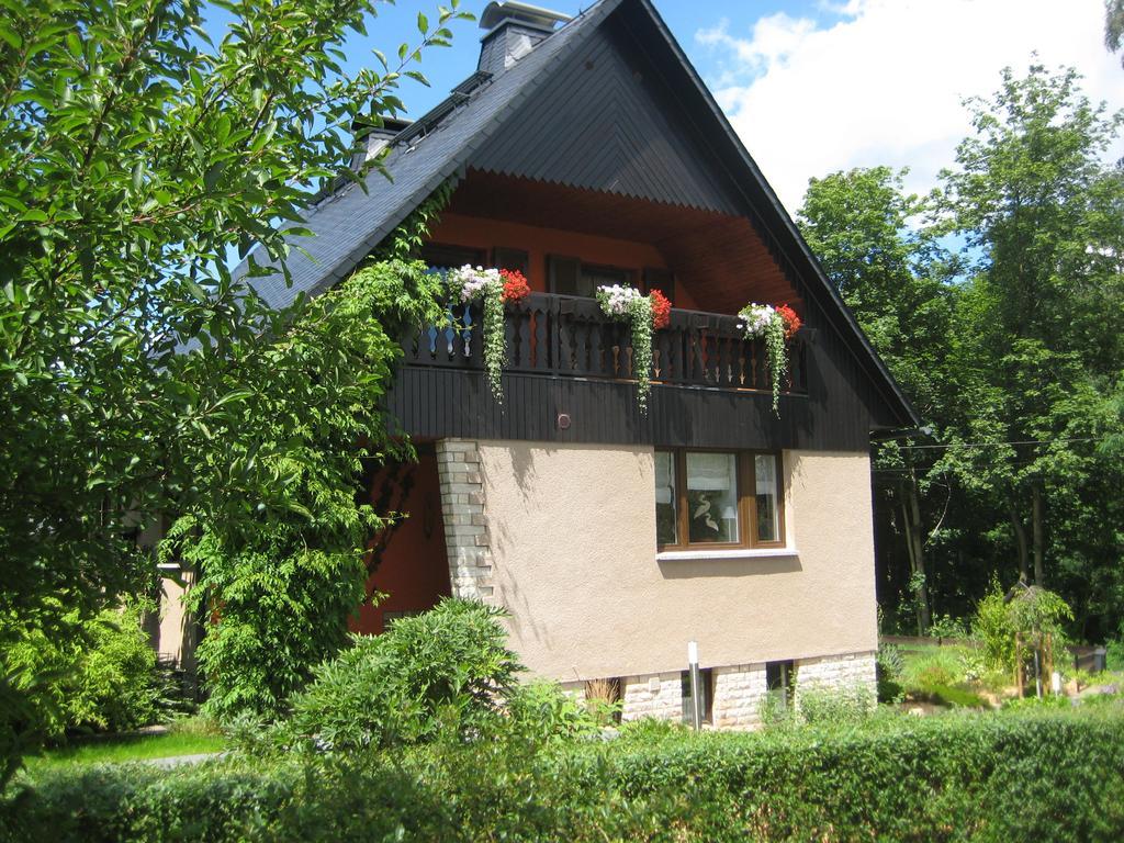 Ferienwohnung Am Waeldchen Kurort Gohrisch Luaran gambar